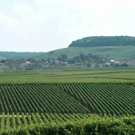 Suites De Charme L'Arbanne - Bien-Etre Bio En Champagne